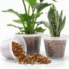 GUGEMEI 12/10/8 Inch Clear Nursery Pots with Drainage Holes, 12