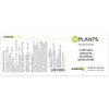 WPLANTS Complex Antioxidants High Dose Extracts of Turmeric, Pomegranate, Japanese