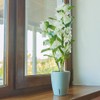 Santino ORCHIDEA Self-Watering Orchid Pot - 15CM Self-Watering Decorative Planter