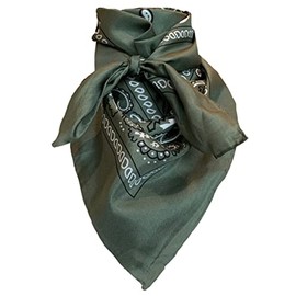 Wyoming Traders Equestrian Horse Reining 100% Silk Cowboy Bandana Wild Rag Scarf 20" Small Mini Multiple Colors (Bandana Sage)
