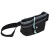 Pounce + Fetch Treat and Training Pouch | Dimensions: 8.5"x