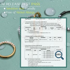 BodyBonita Hinge CZ Septum Piercing 316L Stainless Steel Nose Ring Hoop Earrings for Women 20G/18G/16G Cartilage Earrings Conch Helix Piercings Jewellery Rook Tragus Lobe Daith 6mm - 10mm, Stainless