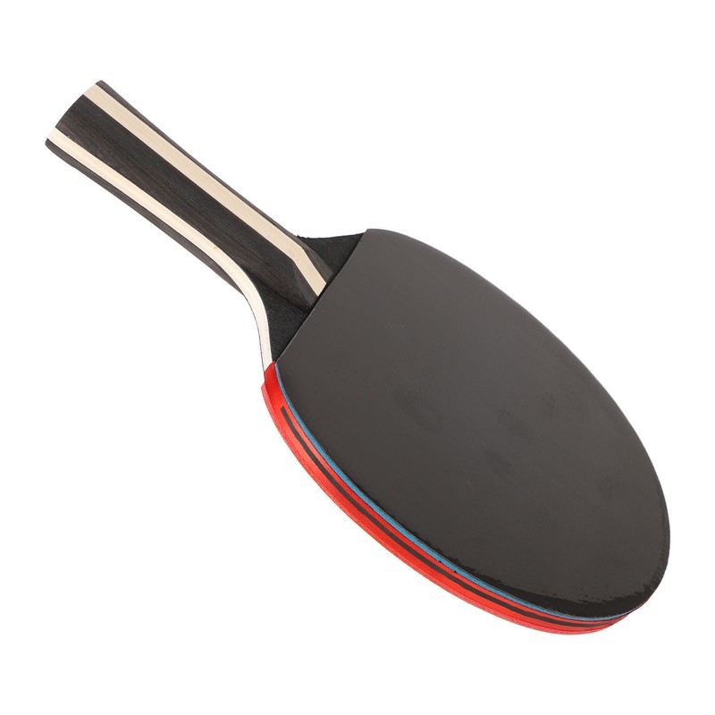 REGAIL Ping Pong Paddle Set Portable Table Tennis Set With