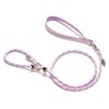 YUDOTE Slip Lead Dog Leash 5 Ft No Pull Reflective