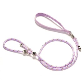 YUDOTE Slip Lead Dog Leash 5 Ft No Pull Reflective Nylon Dog Rope Training Leash with Padded Handle for Puppy Small Medium Dogs(Purple)