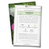 Sow Right Seeds - Radiance Cosmos Flower Seed for Planting