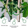 Pack of 500 Plant Clips, Small Plant Clips, Secured Plant