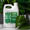 Simple Lawn Solutions - Liquid Iron Fertilizer Darker Green -