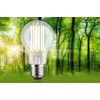 Paulmann 29222 LED Eco-Line AGL E27 1521lm 7.2W 3000K Clear