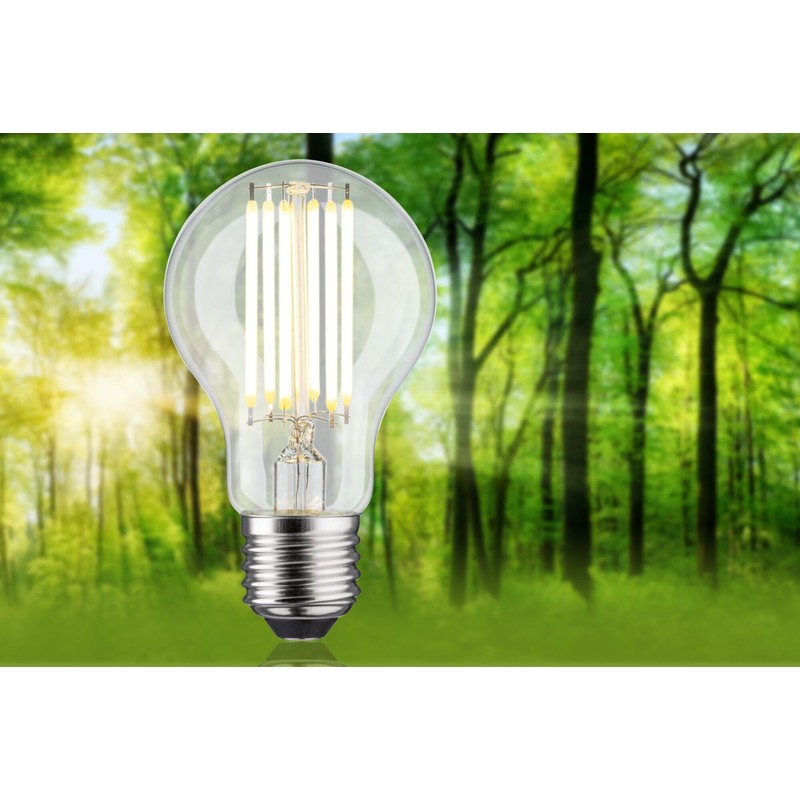 Paulmann 29222 LED Eco-Line AGL E27 1521lm 7.2W 3000K Clear