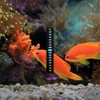 Luckious 4 Pcs Fish Tank Thermometer - 10~40℃ Digital Aquarium