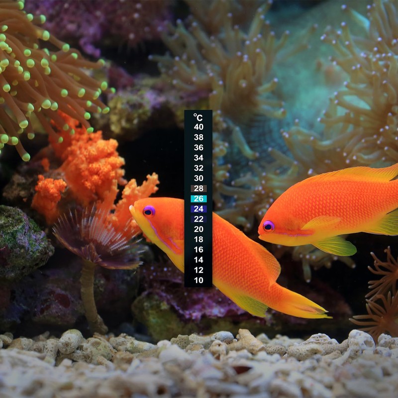 Luckious 4 Pcs Fish Tank Thermometer - 10~40℃ Digital Aquarium