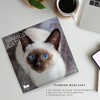 2026 Wall Calendar | 12" x 24" Open | Kitten