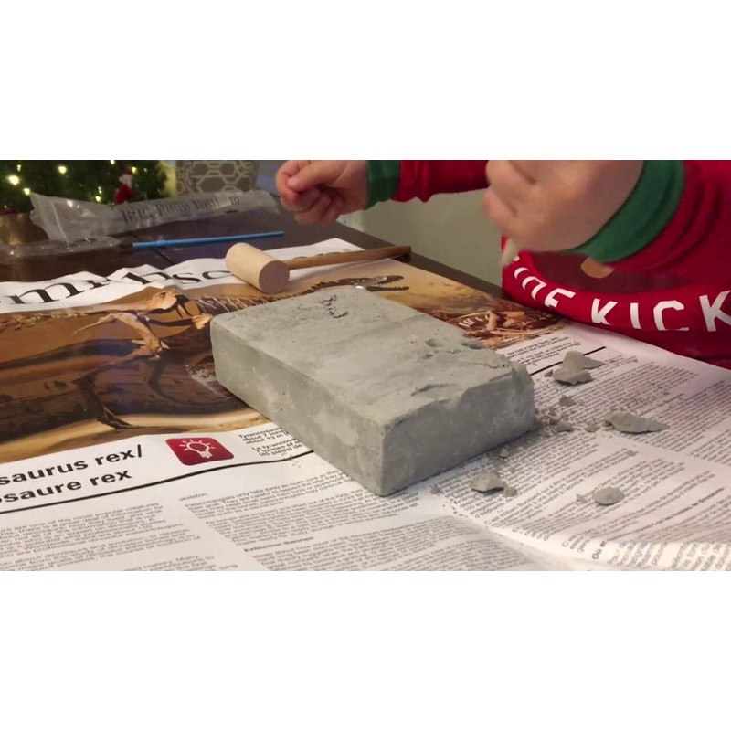 Smithsonian Diggin' Up Dinosaurs T-Rex Plastic Skeleton Set Educational,Fun,Science,Archeological Playset