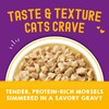 Stella & Chewy’s Carnivore Cravings Morsels & Gravy Chicken &