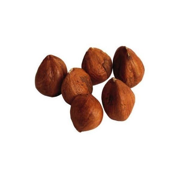 Raw Hazelnuts - Filberts (1 lb)