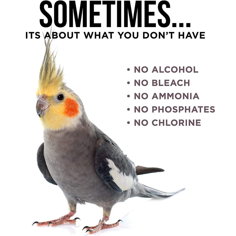 Natural Rapport Bird Cage Cleaner - The Only Bird Cage
