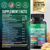 Zoyava Sea Moss Supplement - All-in-One Multivitamin with Black Seed