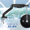 Stellar Mounts Spring LCD Monitor Arm with USB and Multimedia
