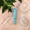 MARVIS® Anise Mint 85 ml I Toothpaste for Cleansed Teeth