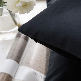 Phantoscope Pack of 2 Velvet Decorative Throw Decorative Pillow Cover Soft Solid Square Cushion Case for Couch Black 20 x 20 inches 50 x 50 cm