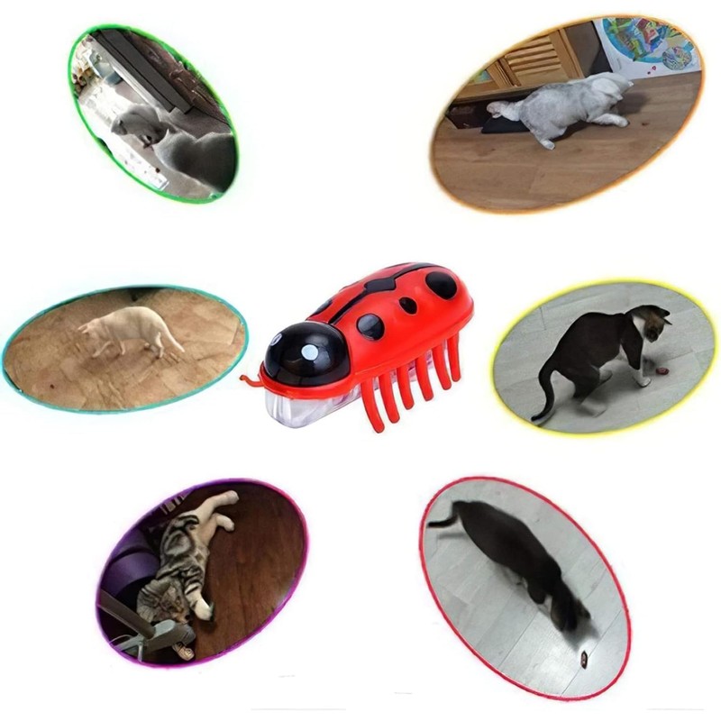 Kinberry 4pcs Mini Robot Beetle Cat Toy - Electric Glowing