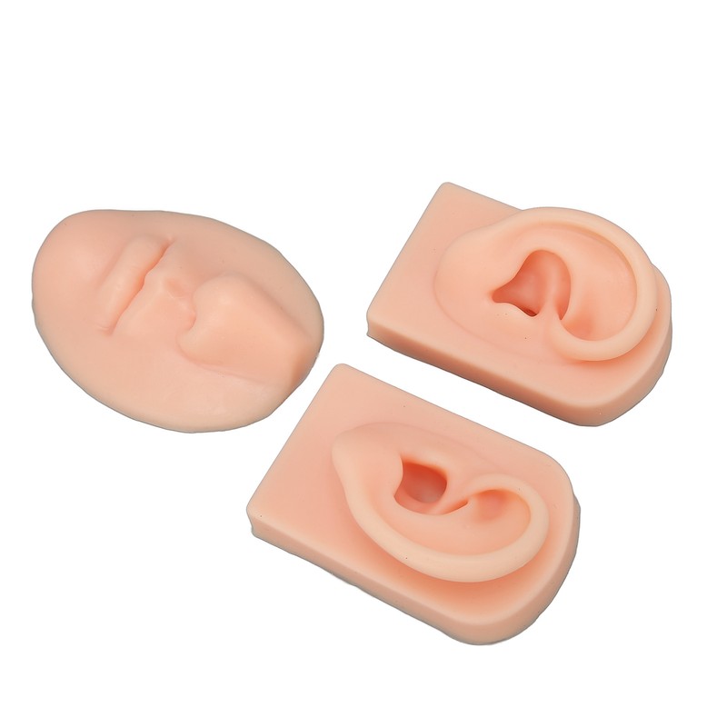 3D Nose and Mouth Model Silicone Ear Model Simulation Display