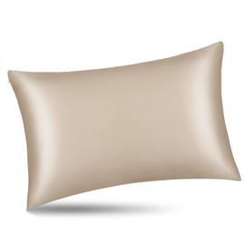 ALASKA BEAR 100% 19 Momme Mulberry Silk Pillowcase, 50x75 cm, Both Sides Silk, 600 Thread Count, Hypoallergenic Pillow Cover for Skin Health with Hidden Zipper (1, Champagne Gold)