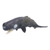 Realistic Sperm Whale Replica Simulated Marine Animal Model Educational Collector