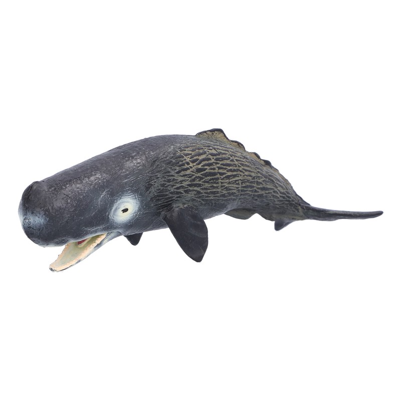 Realistic Sperm Whale Replica Simulated Marine Animal Model Educational Collector