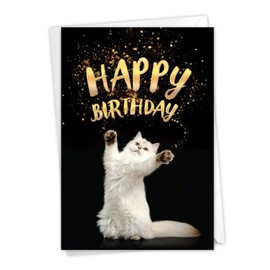 The Best Card Company - 1 Cat Birthday Greeting Card with Envelope - Cute Kitten Stationery, Bday Notecard - Cat Sent Greetings A C6112ABPG