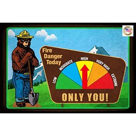 8"x12" All Weather Metal Sign! USA Made! Funny Man Cave Bar Happy Hour Garage Decor Smokey Bear Adjustable Gauge (Smokey Bear Mts)