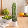 Herb Keeper Preserver,Refrigerator Herb Storage Container Herb Savor Preserver Cilantro