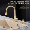 GAGALIFE Kitchen Sink Soap Dispenser Gold, Built in Soap Dispenser