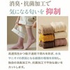 Senteria Women's Socks, 6 Pair Set, Cotton, Suitable for All