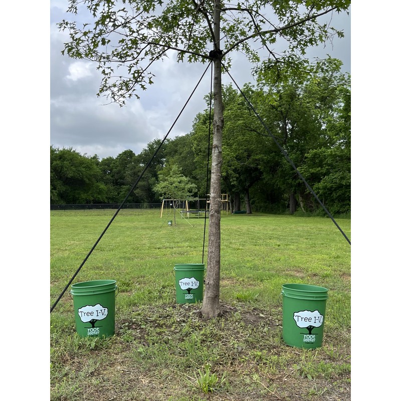 Tree I-V Original Base Root Feeder Watering System - Durable