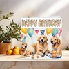 Golden Retriever Birthday Card 145 x 145mm