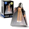 Next Glow Decorative Light Bulb Eq 20W ICE Style Shaped