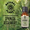Natural Planet Spanish Rosemary Essential Oil 15ML Natural Pure &