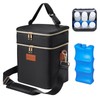 PIIOSER Breastmilk Cooler Bag with Ice Pack Fits 6 Baby