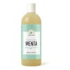 Tónico facial de menta 1 L, frescura e hidratación día