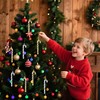 Pack of 12 Candy Canes Christmas Tree Decorations - Glitter