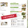 Maharani Herbal Color 3, Brown, JOCA Recommended Product, Instruction Booklet