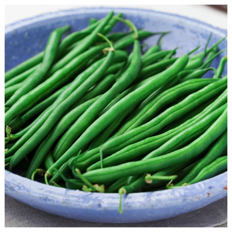Everwilde Farms - 1 Lb Blue Lake Bush Green Bean