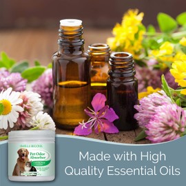 SMELLS BEGONE Air Freshener Odor Absorber Gel - 15 oz, Pack of 2 - Absorbs and Eliminates Odor in Pet Areas, Bathrooms, Cars, & Boats - Made with Essential Oils - Calming Rain Scent