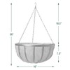 Arcadia Garden Products 1592 Solstice Series Coconut Hanging Basket 16-Inch
