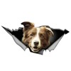 Car Sticker Border Collie Sticker 15 cm (5.9 Inch) Brown