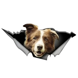 Car Sticker Border Collie Sticker 15 cm (5.9 Inch) Brown Border Collie Reflective Sticker 3D Ripped Car Sticker Pet Dog Funny Sticker Yellow Border Collie Car Sticker Funny Decor