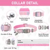 GAMUDA Small Dog Harness Collar and Leash Set, Step in