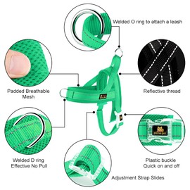 Plutus Pet No Pull Dog Harness with Breathable Mesh Padded, Adjustable Reflective Escape Proof Dog Harness, Quick Fit Dog Vest Harness for Small Medium Large Dogs(XS, Green)